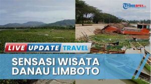 Video Pariwisata! Keindahan Danau Limboto Setelah Revitalisasi, Menarik Perhatian Wisatawan!